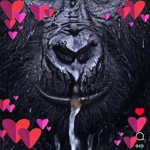 Meet your Posher, Petra a